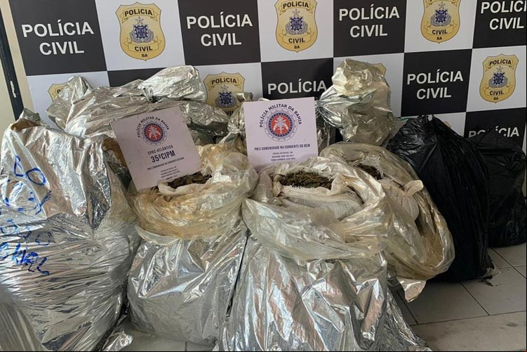 Homem é preso com mais de 400 kg de maconha em Camaçari
